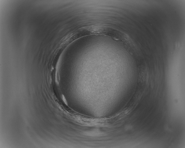 X0000081360044200701111533