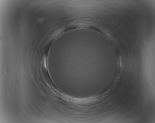 X0000081360046200701111533