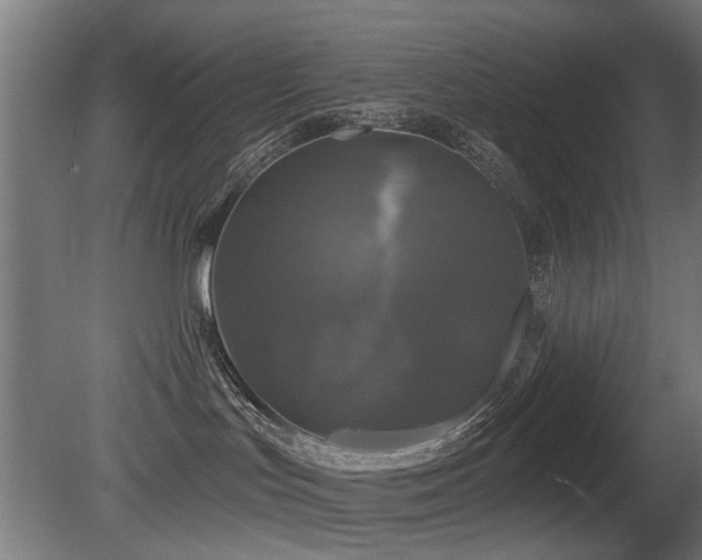 X0000081360047200701111533