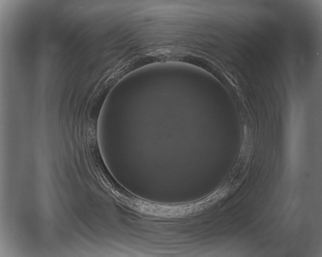 X0000081360048200701111533