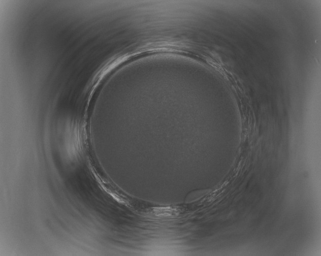 X0000081360050200701111532