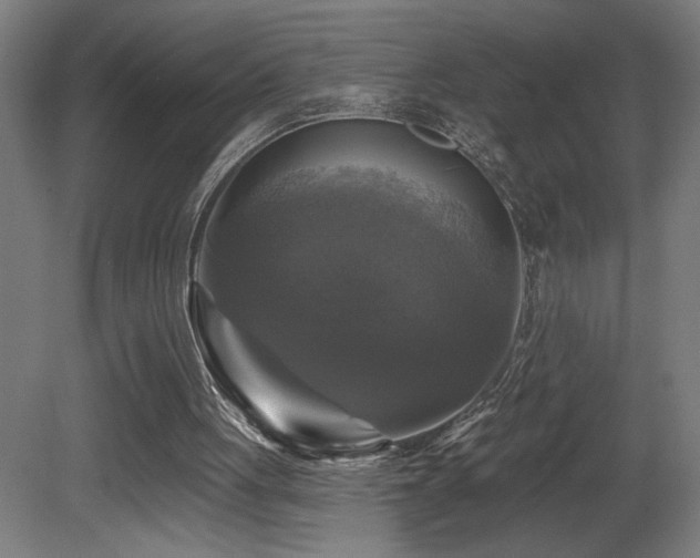 X0000081360051200701111532