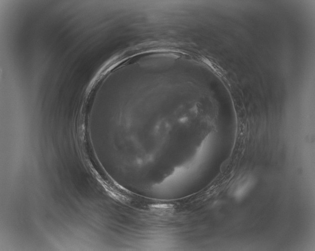 X0000081360053200701111532