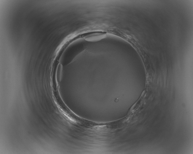 X0000081360054200701111532
