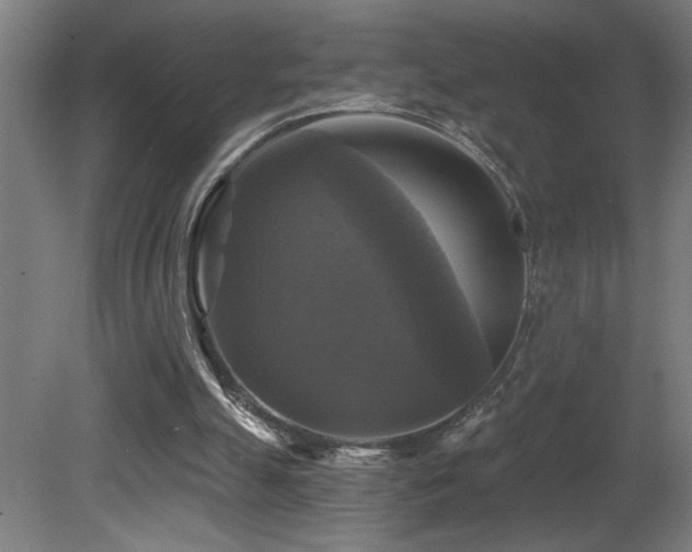 X0000081360055200701111532