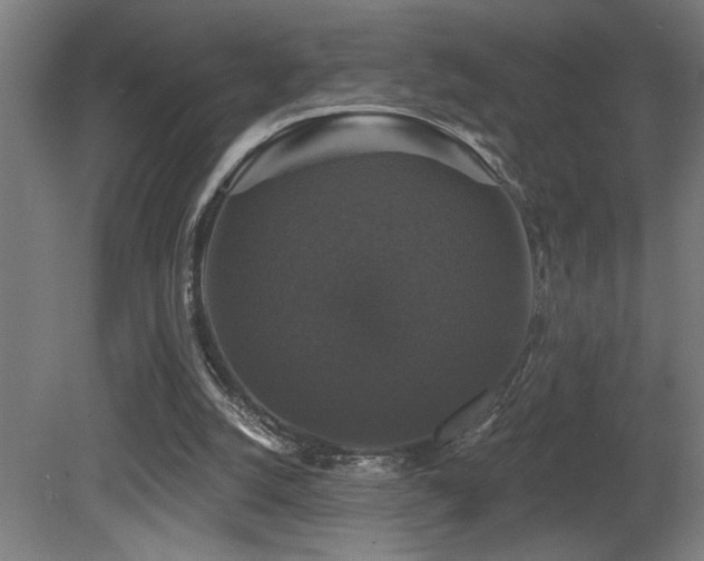 X0000081360056200701111532