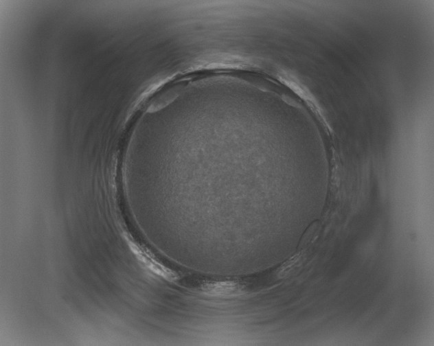 X0000081360058200701111532