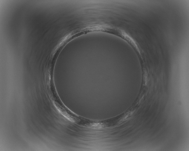 X0000081360059200701111532
