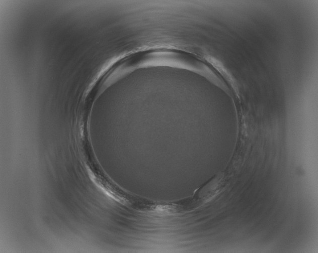 X0000081360060200701111532