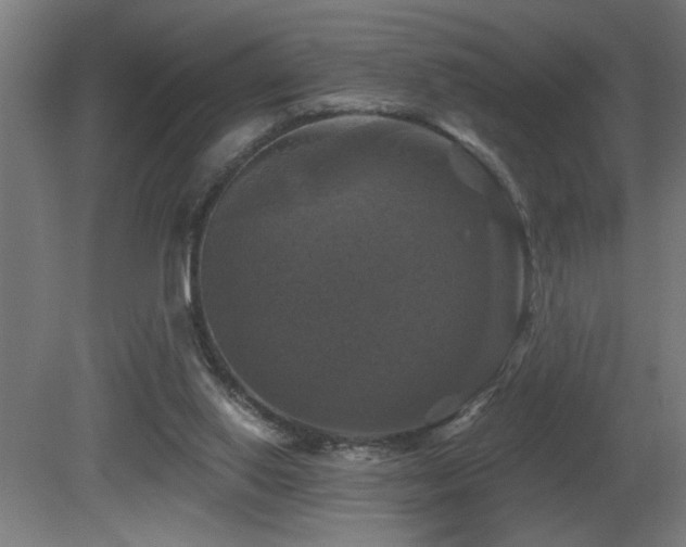 X0000081360062200701111532