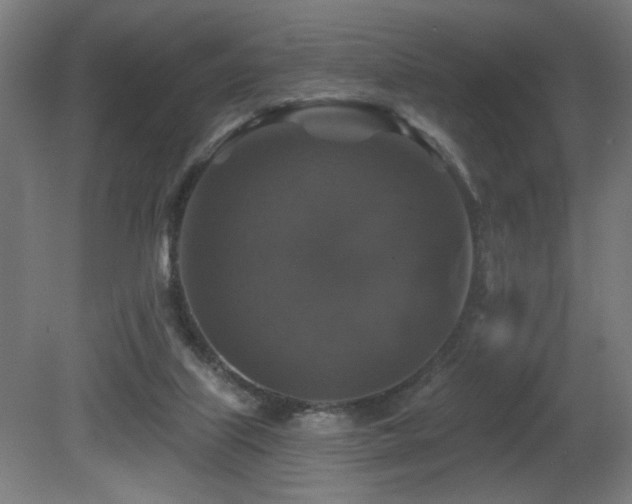 X0000081360067200701111532