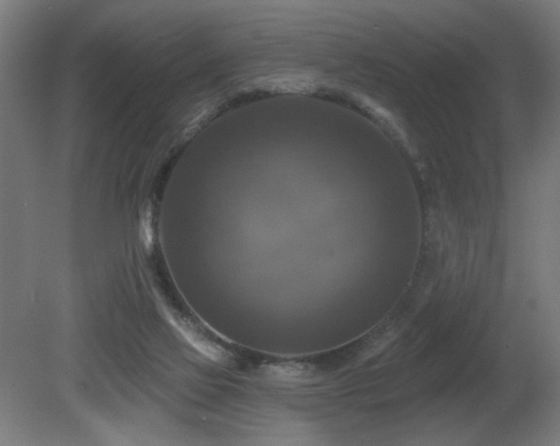 X0000081360069200701111532