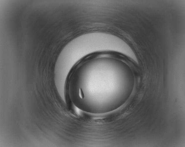X0000081360073200701111532