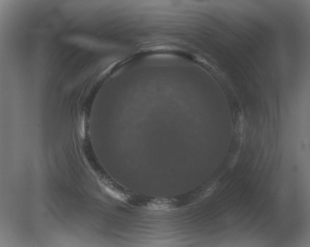 X0000081360076200701111532
