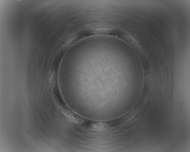 X0000081360079200701111533