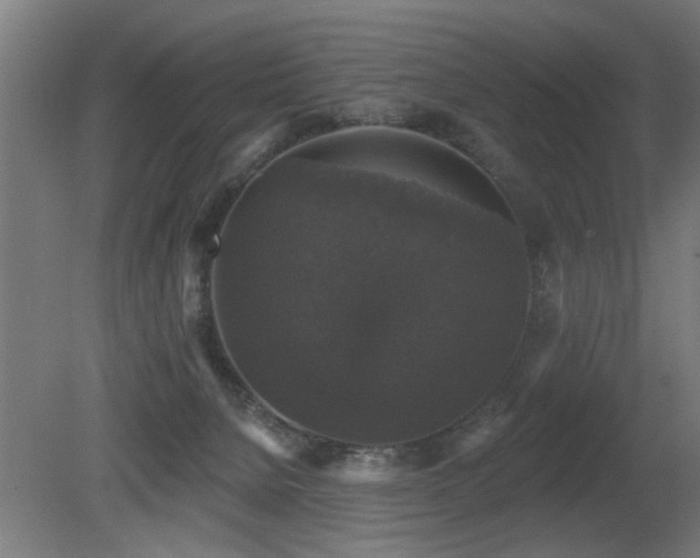 X0000081360080200701111533