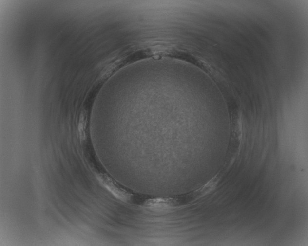 X0000081360082200701111533