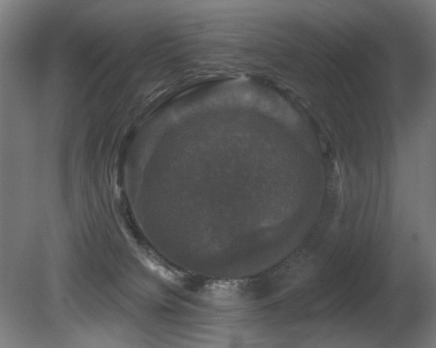 X0000081360084200701111533