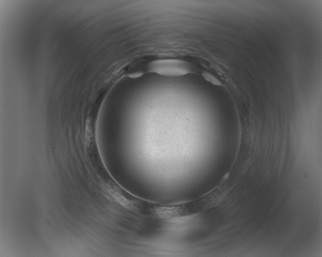 X0000081360085200701111533