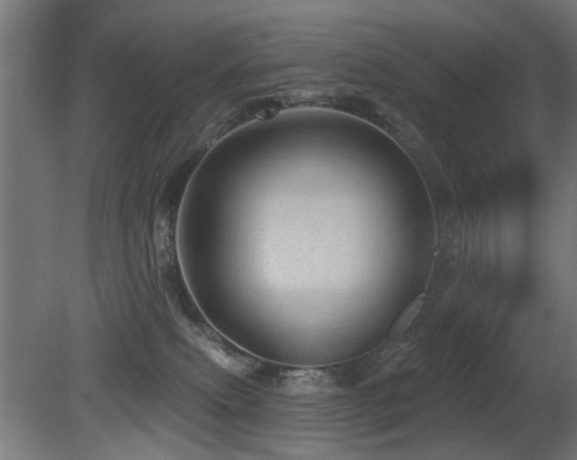 X0000081360087200701111533