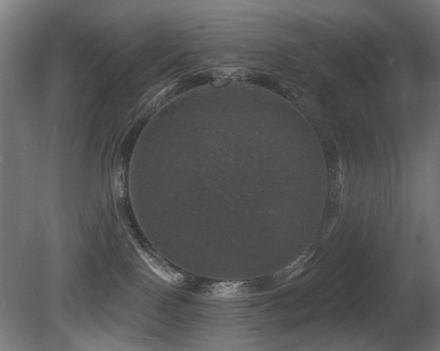X0000081360090200701111533