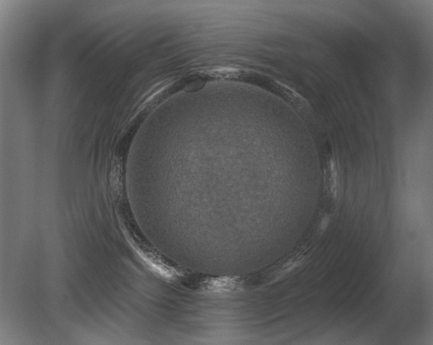 X0000081360092200701111533