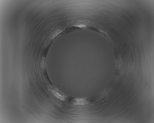 X0000081360093200701111533