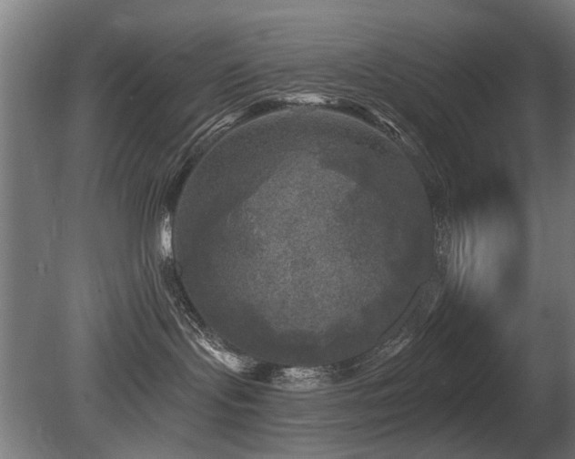 X0000081360095200701111533