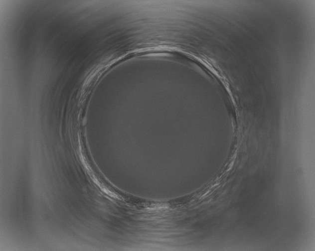 X0000081360097200701111532