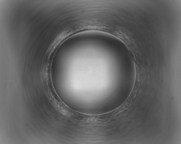 X0000081360098200701111532