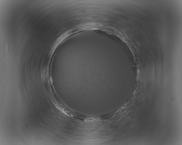 X0000081360099200701111532