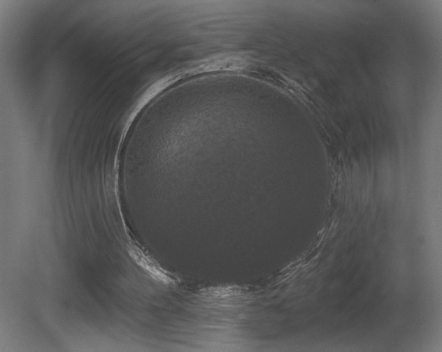 X0000081360100200701111532