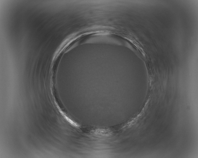X0000081360101200701111532