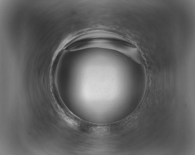 X0000081360102200701111532