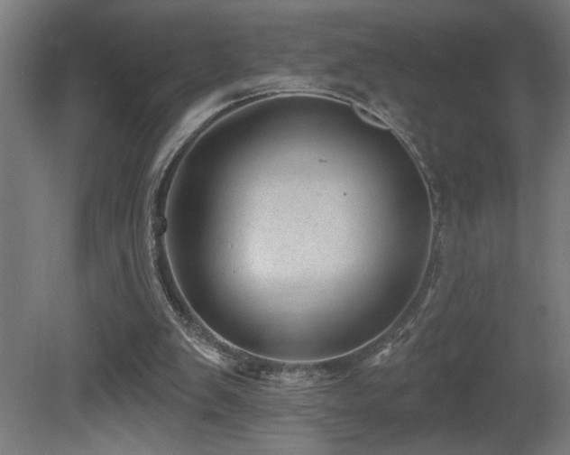 X0000081360103200701111532