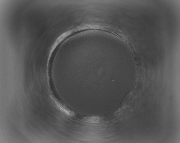 X0000081360104200701111532