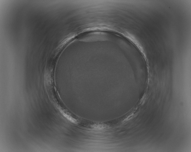 X0000081360105200701111532
