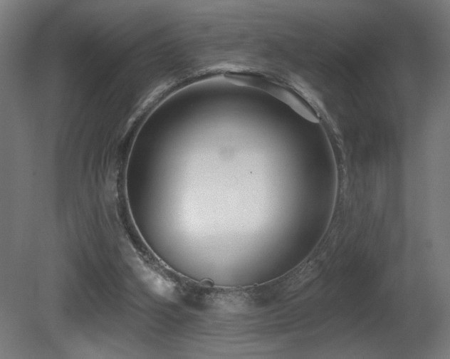 X0000081360106200701111532