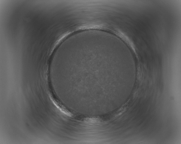 X0000081360107200701111532