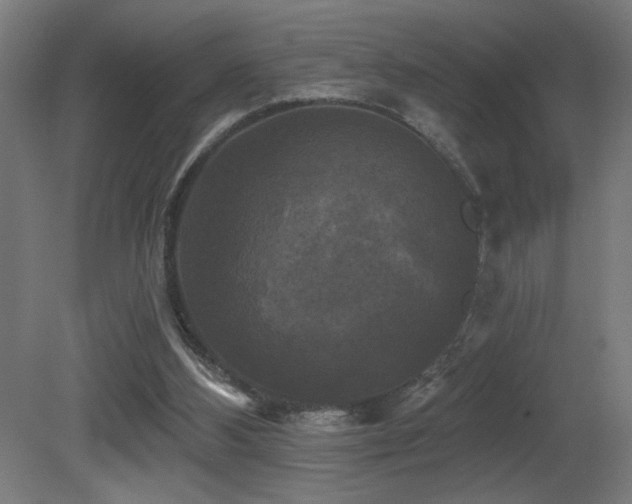 X0000081360108200701111532