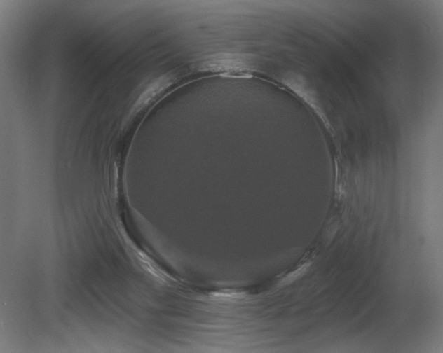 X0000081360109200701111532