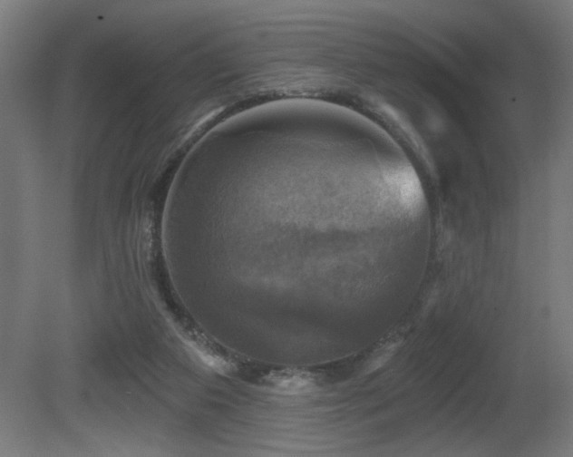 X0000081360113200701111532
