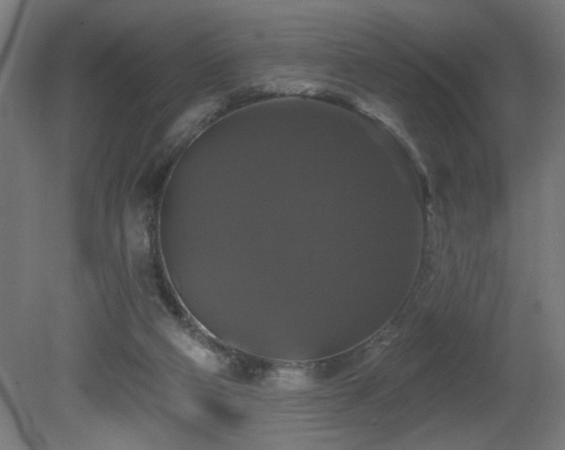 X0000081360114200701111532