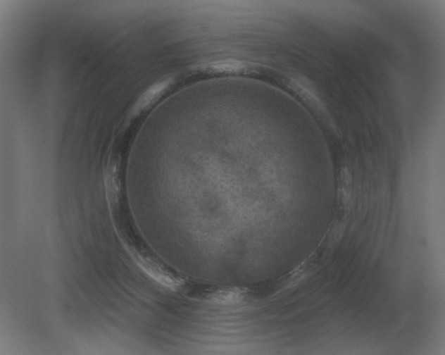 X0000081360116200701111532