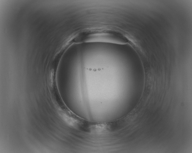 X0000081360118200701111532