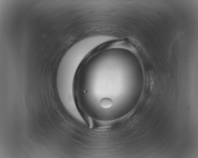 X0000081360123200701111532
