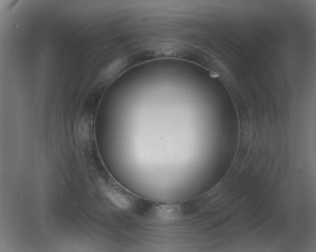 X0000081360126200701111532