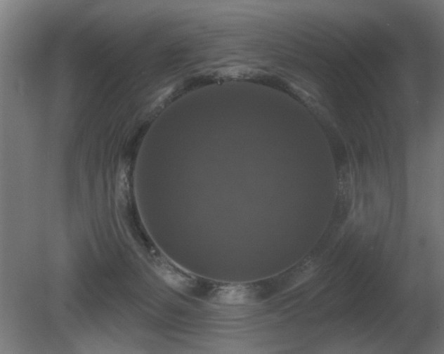 X0000081360127200701111531