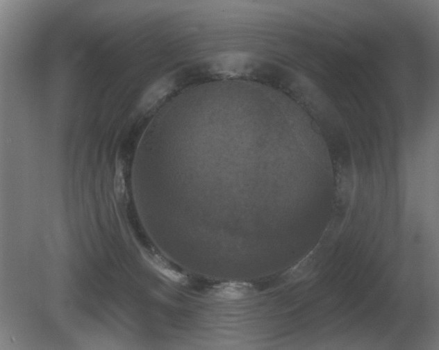 X0000081360128200701111531