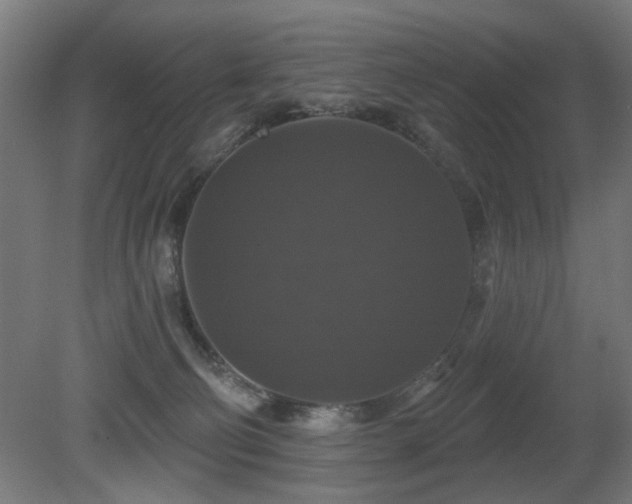X0000081360130200701111531